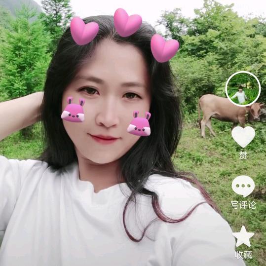 心静
