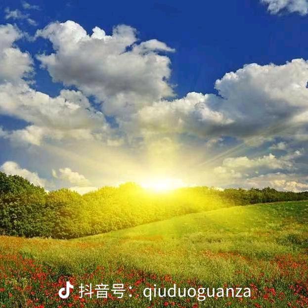 🌹越来越好🍁