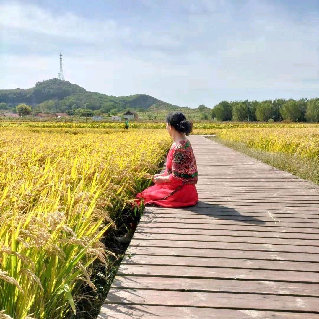 心静如水🍁