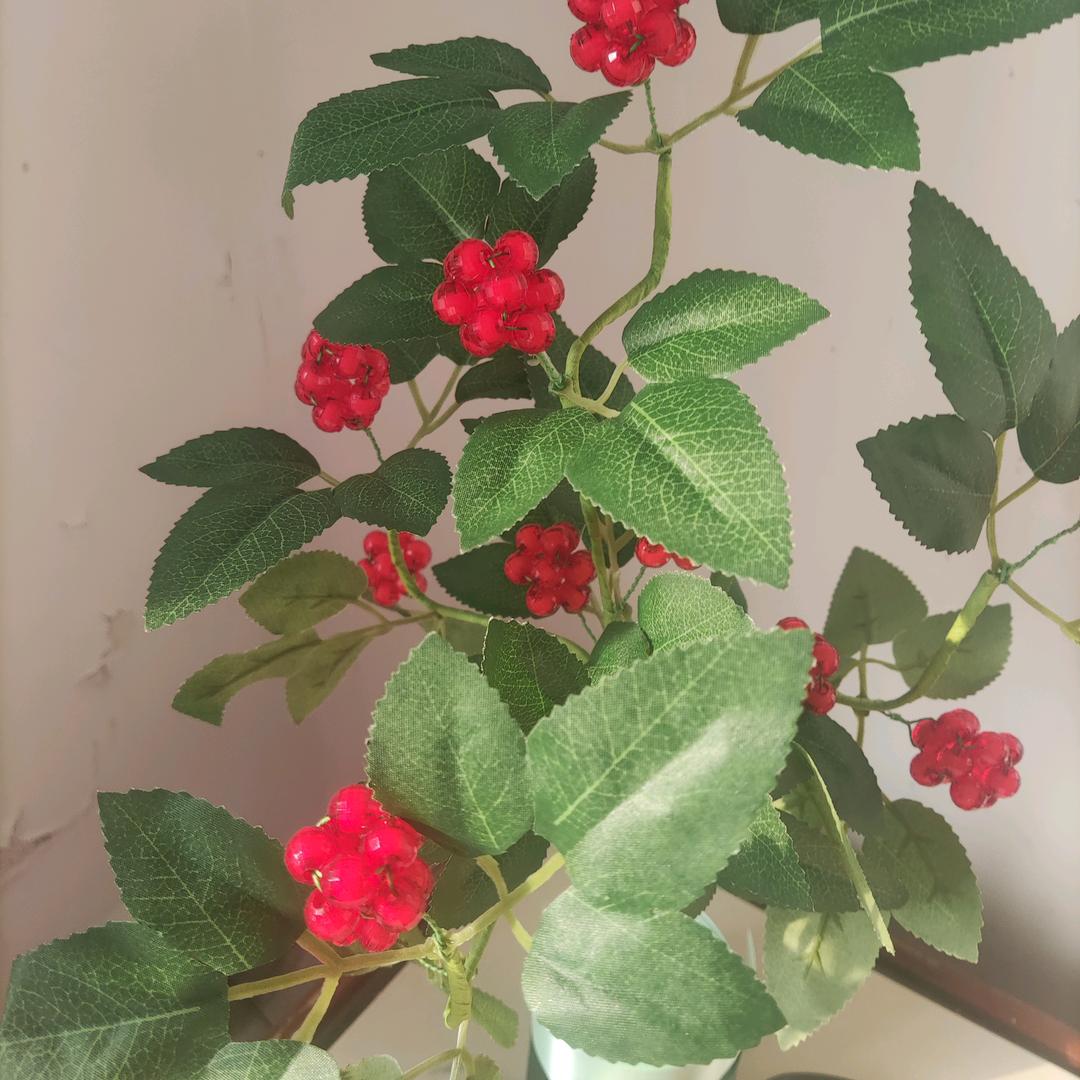 凤姐食百草