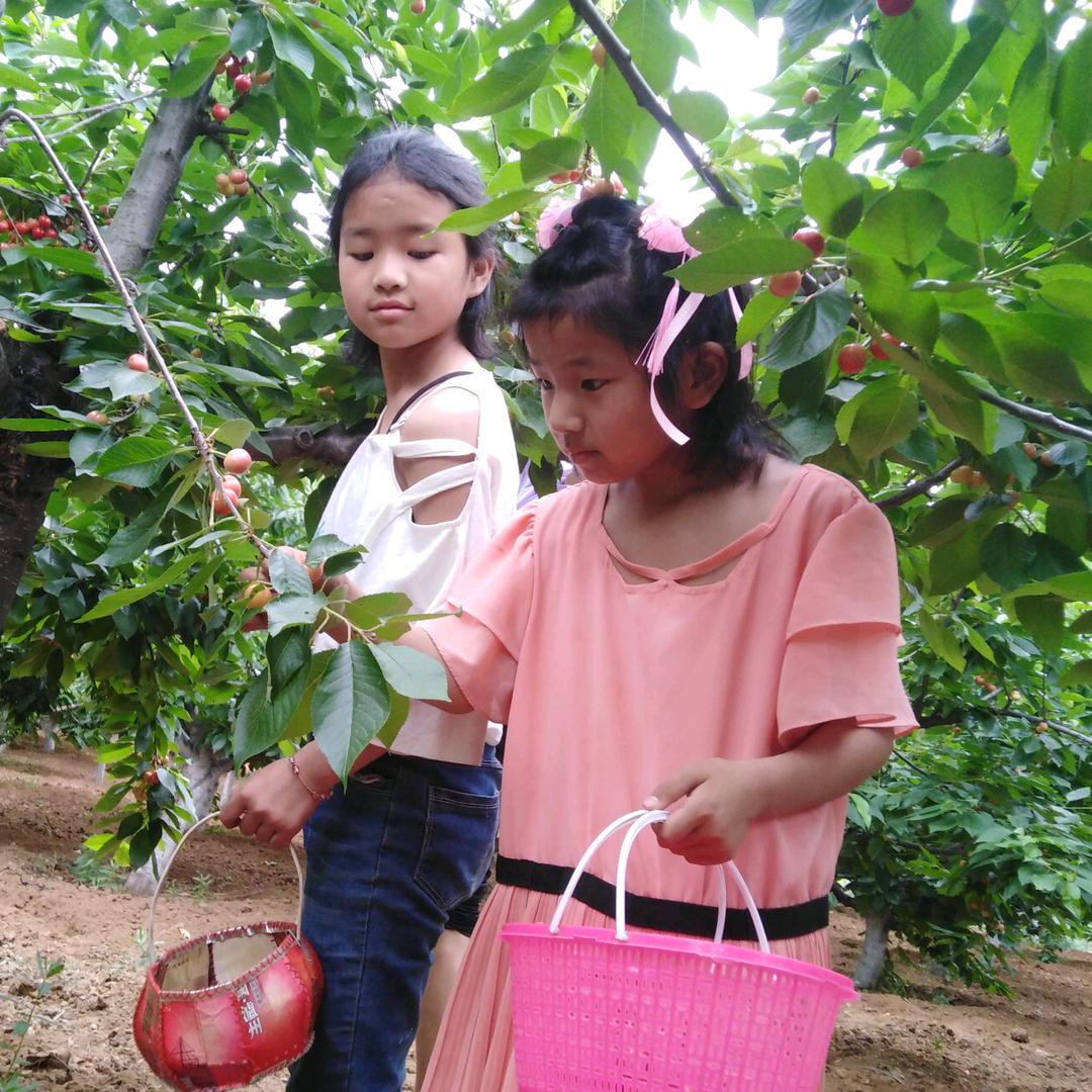 提刀为你斩天下