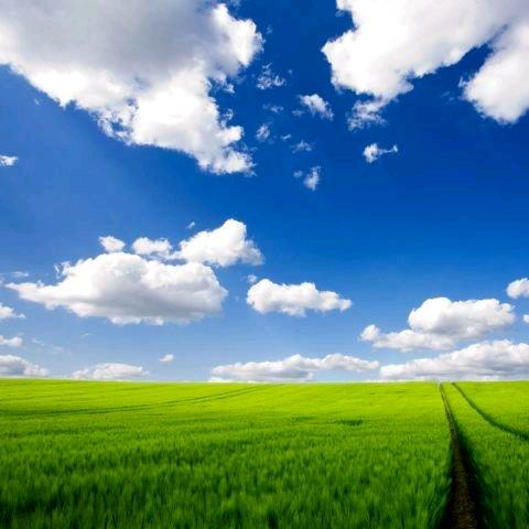 洪山流行空间服饰城相亲记