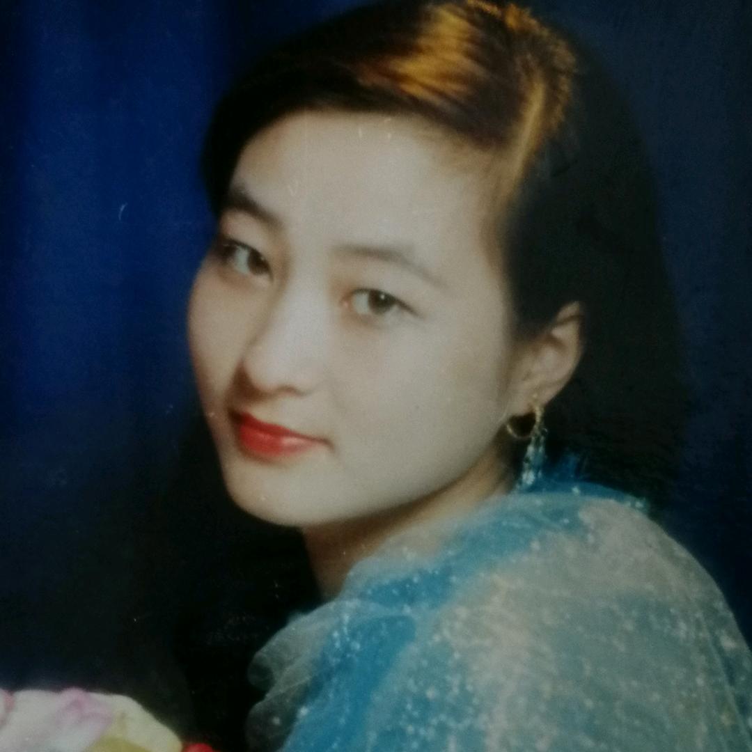 一网情深