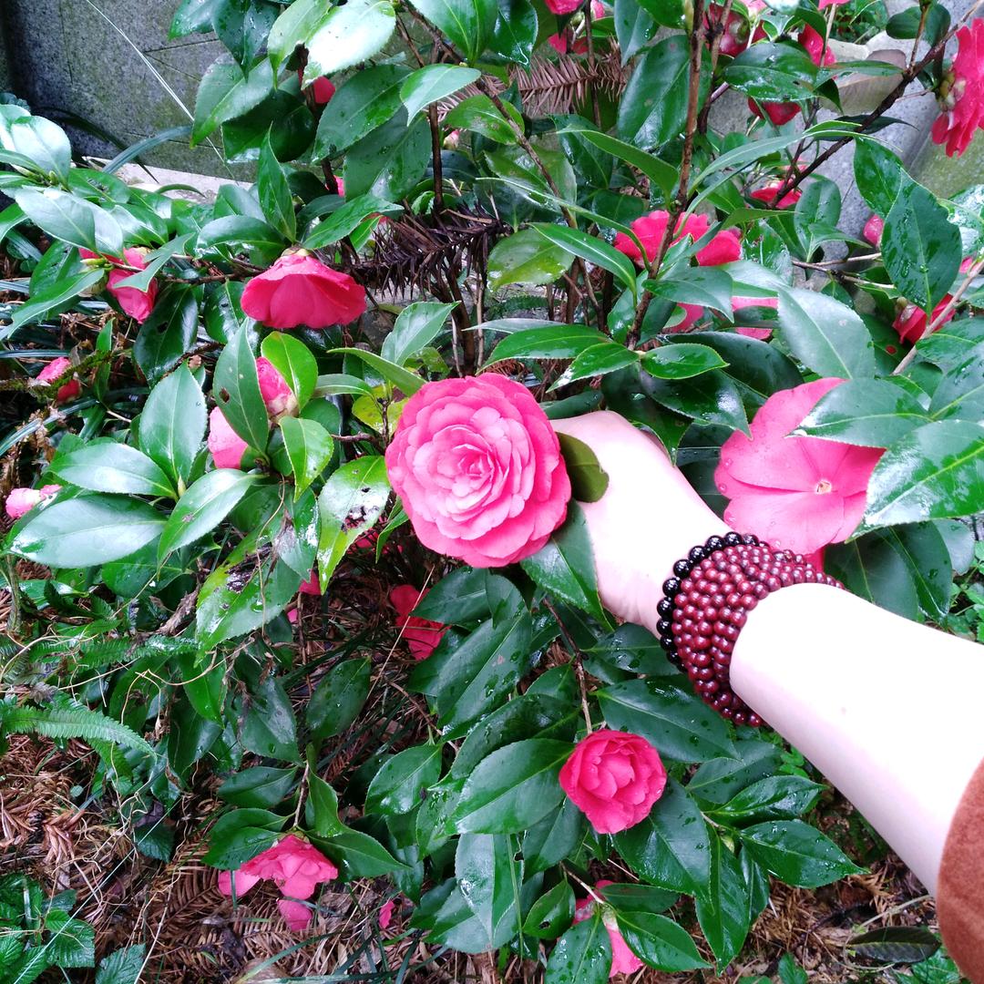 我姓朱💋却住不进你心里去👣💋