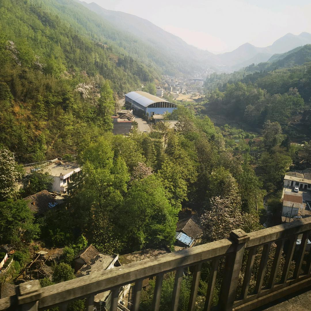 名字不长总有人跟着念