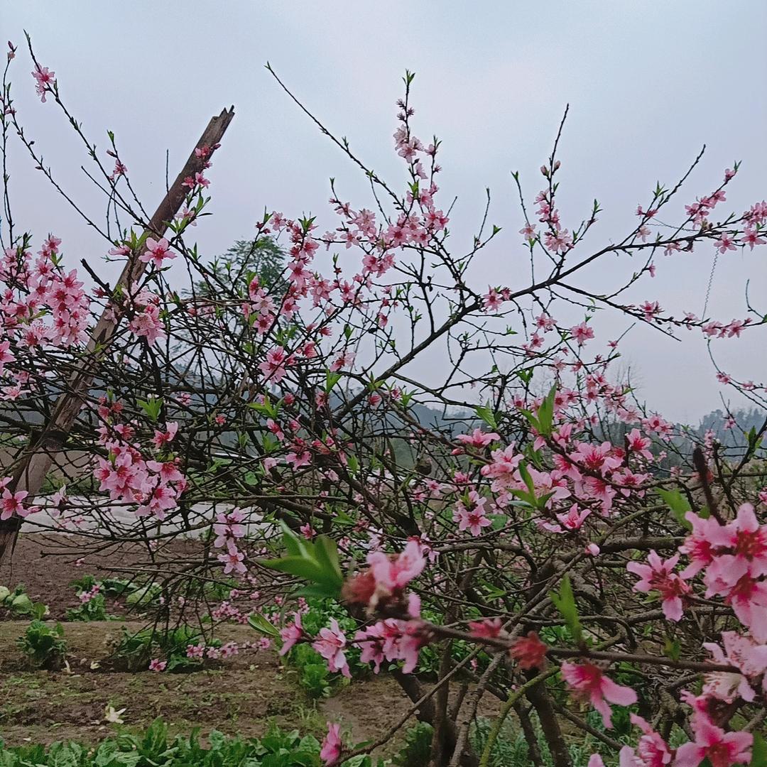 ❤️要狠才完美