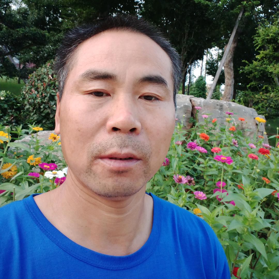 长期收购玉米小麦