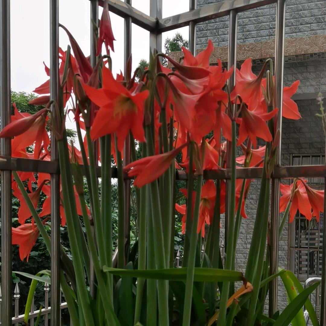 海大饲料服务站