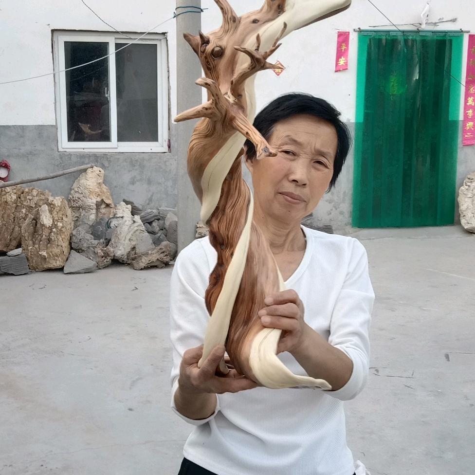 辉县市鸭口根艺艺术