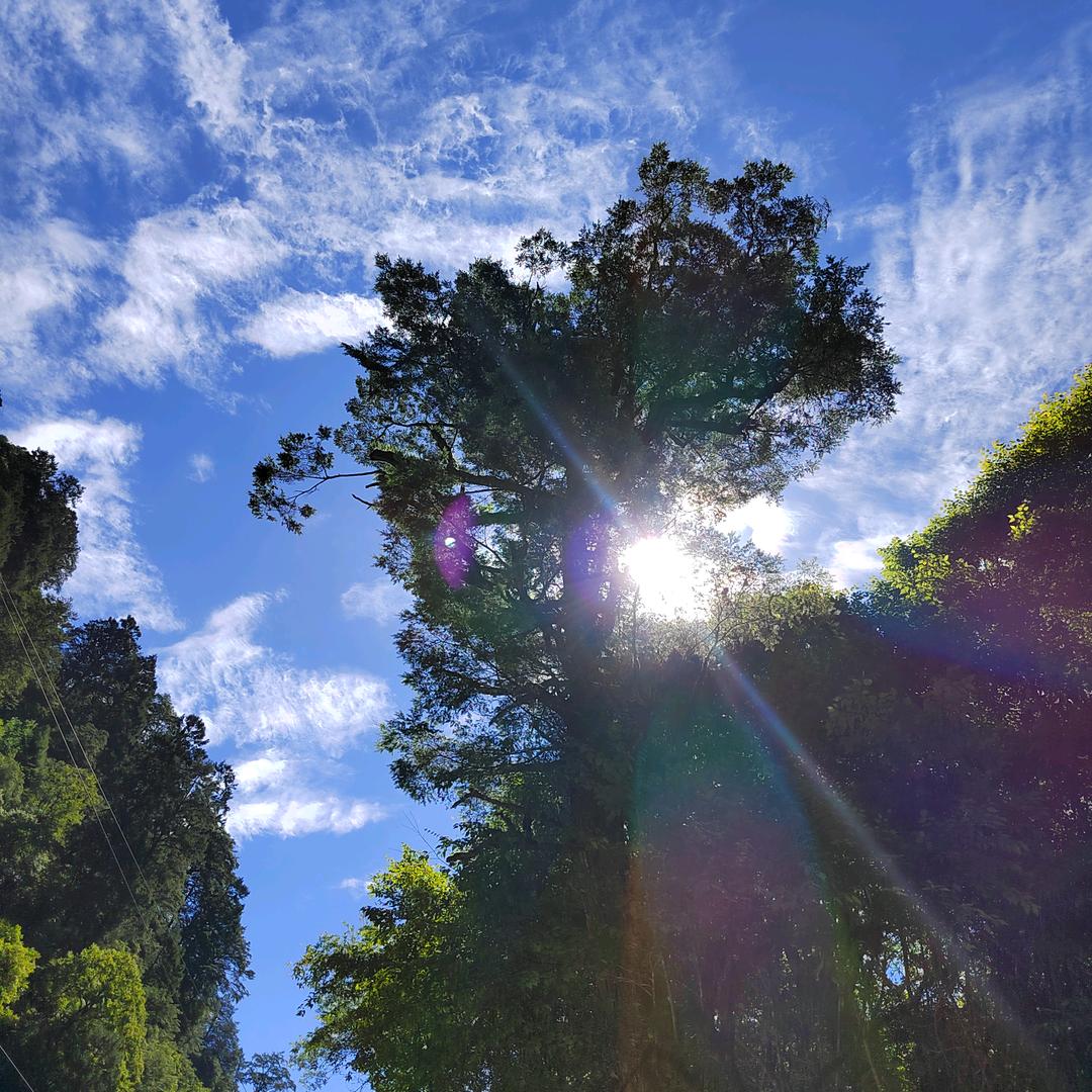 一人独行🚴🏻
