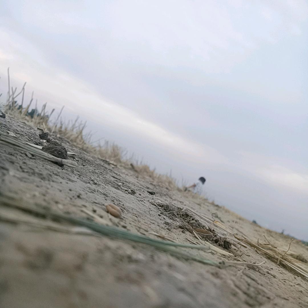 愿秋风知我意🙃