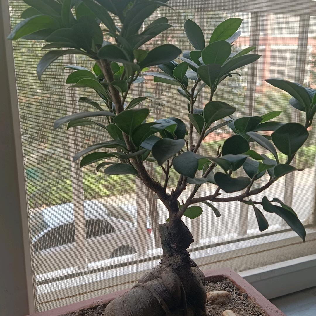 一天