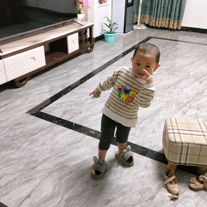 云南小燕子