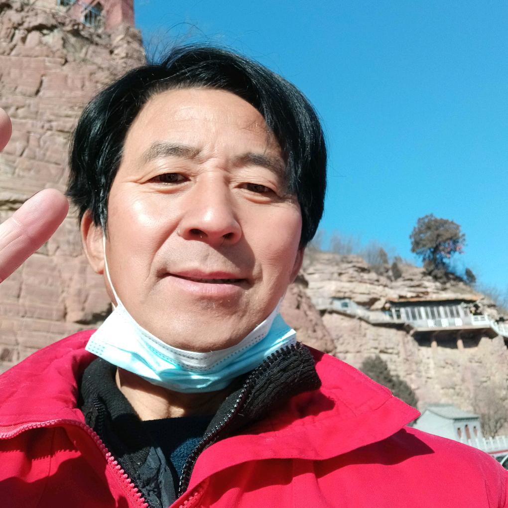 飞翔假山假树1340