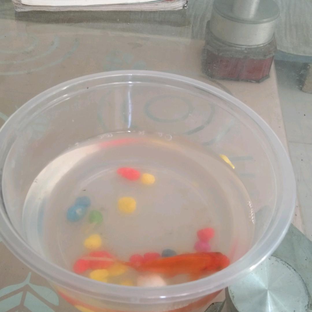 杨燕