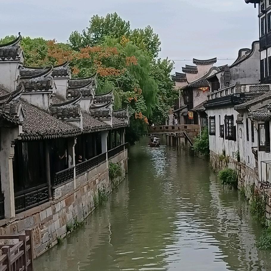 浦江游子