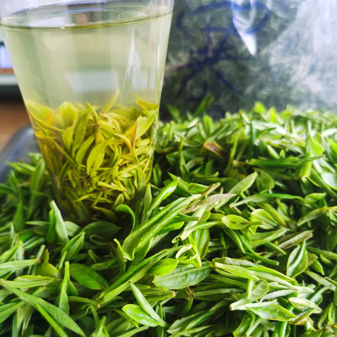 齐霞（🍵）