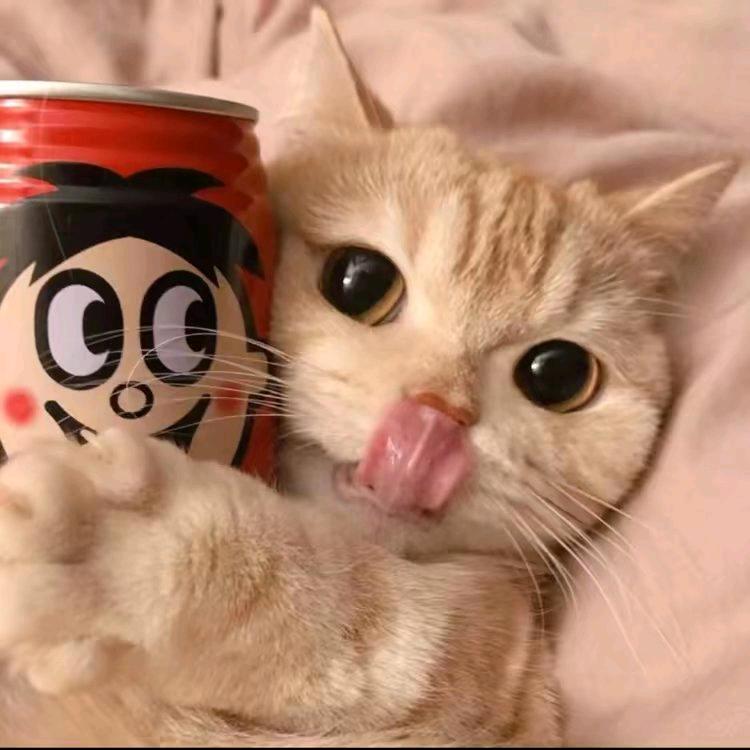 玖弦