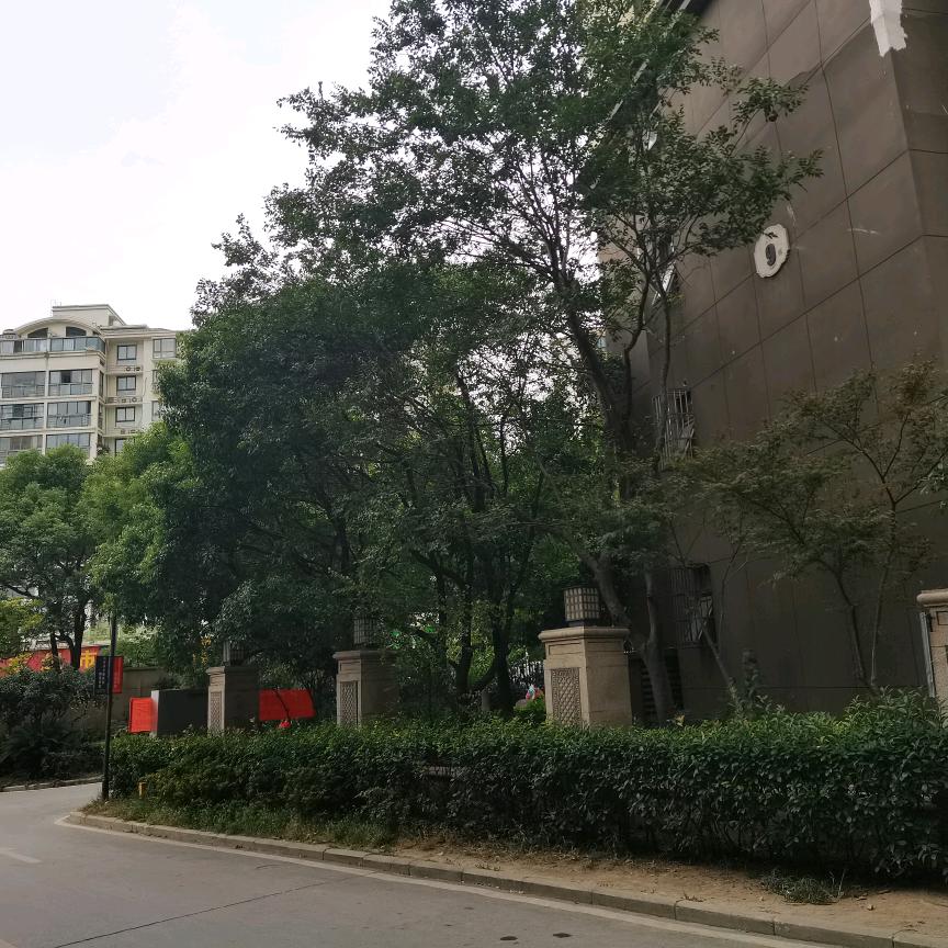 苹果达人