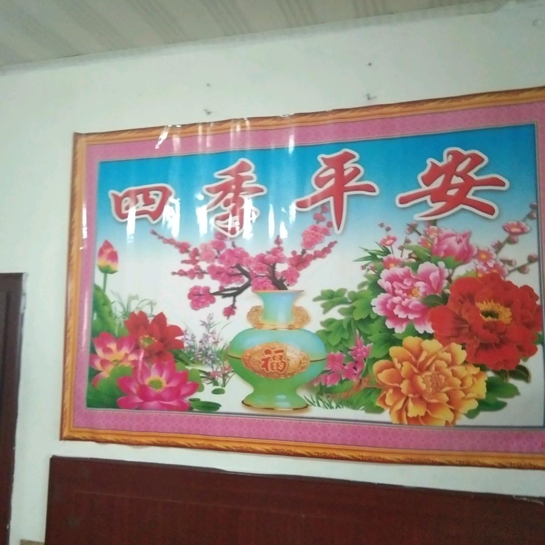 踏雪寻梅