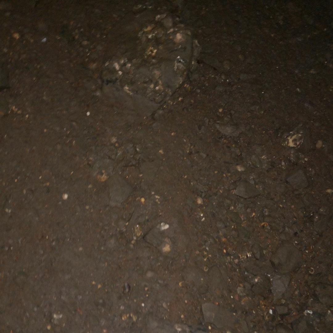 问问，