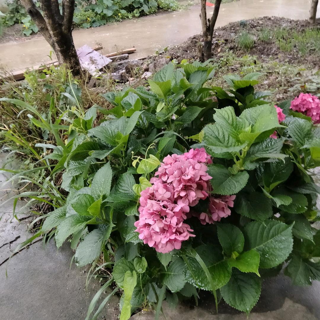 我开心😄