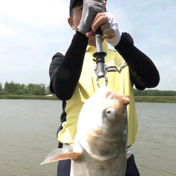 钓鱼大事件(渔具鱼饵在橱窗)