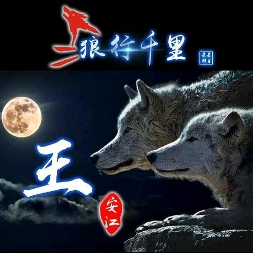 只饮烈酒，不谈往事