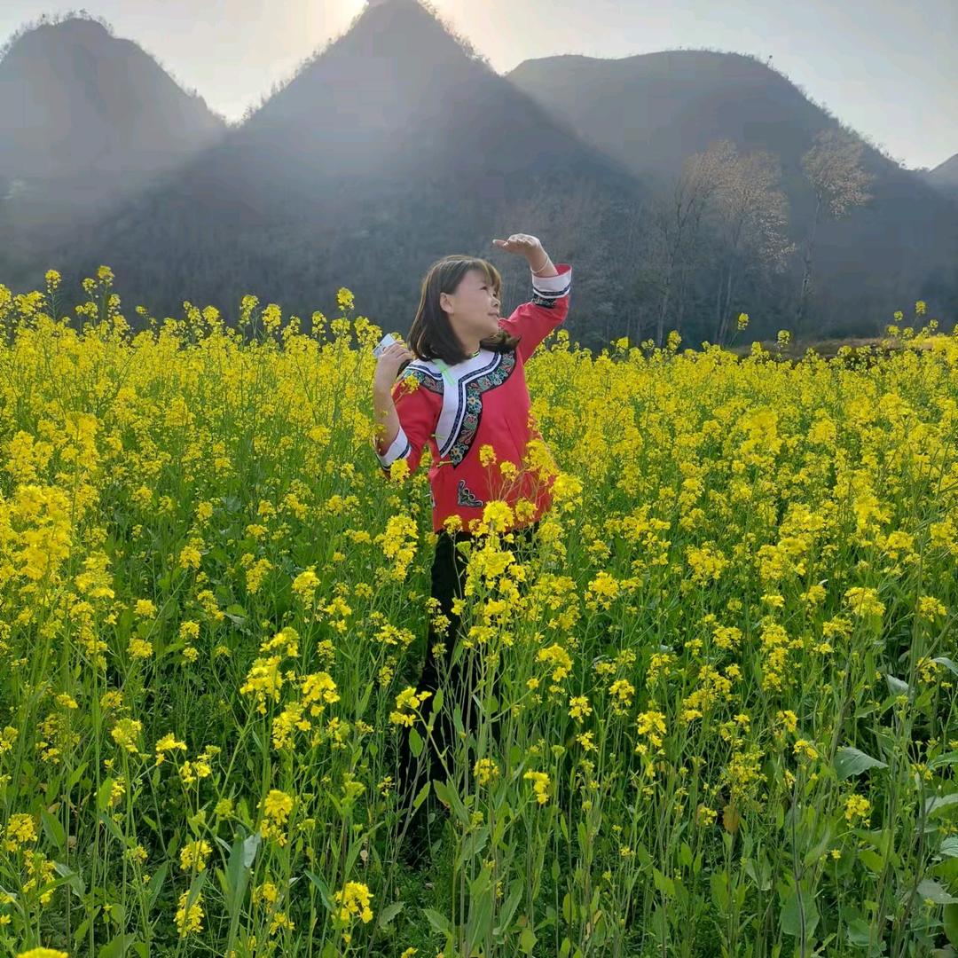 你若安好便是晴