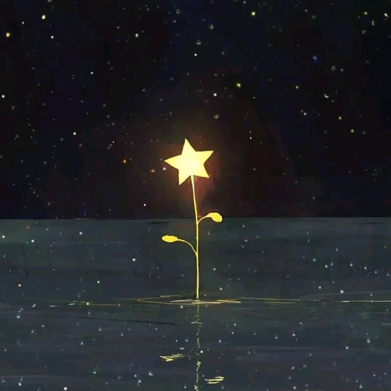 空心✨✨