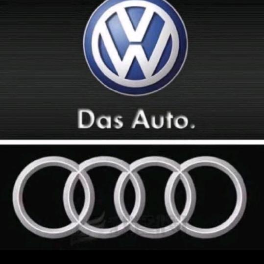 奥迪；大众；斯柯达：奔腾