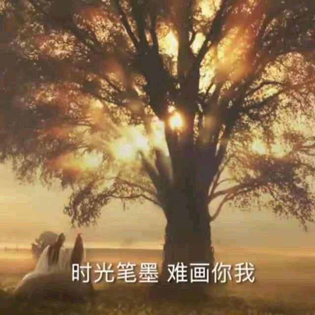 匠心修屏(电视液晶屏)