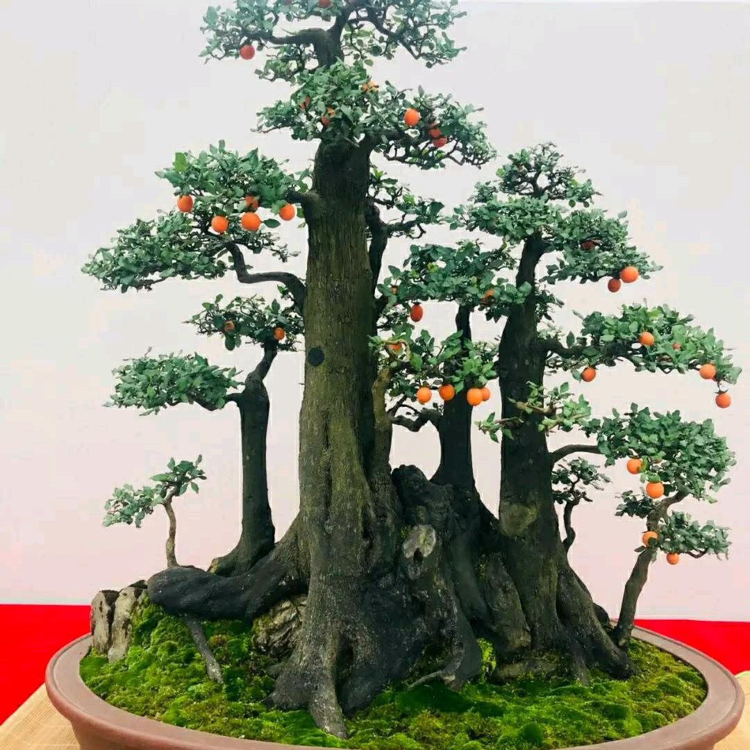 景中有老鸦