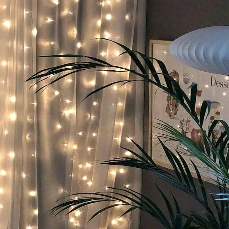 春暖花开💐💐