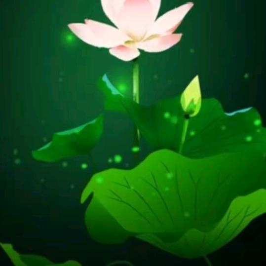 静心（拒绝私聊）