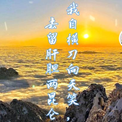 一招半式闯天涯！