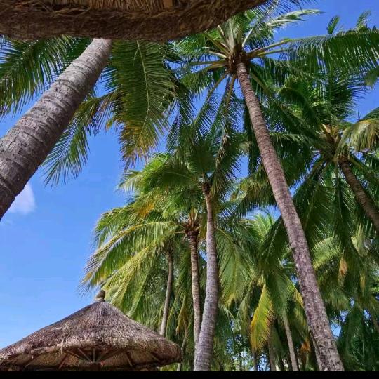 辰🇨🇳辰🇨🇳