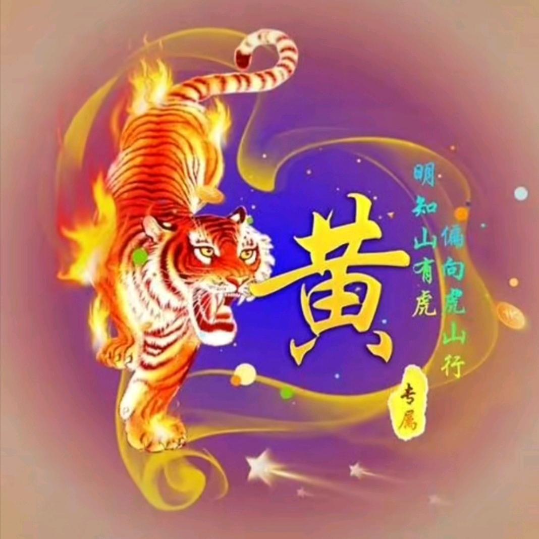 @光辉哥