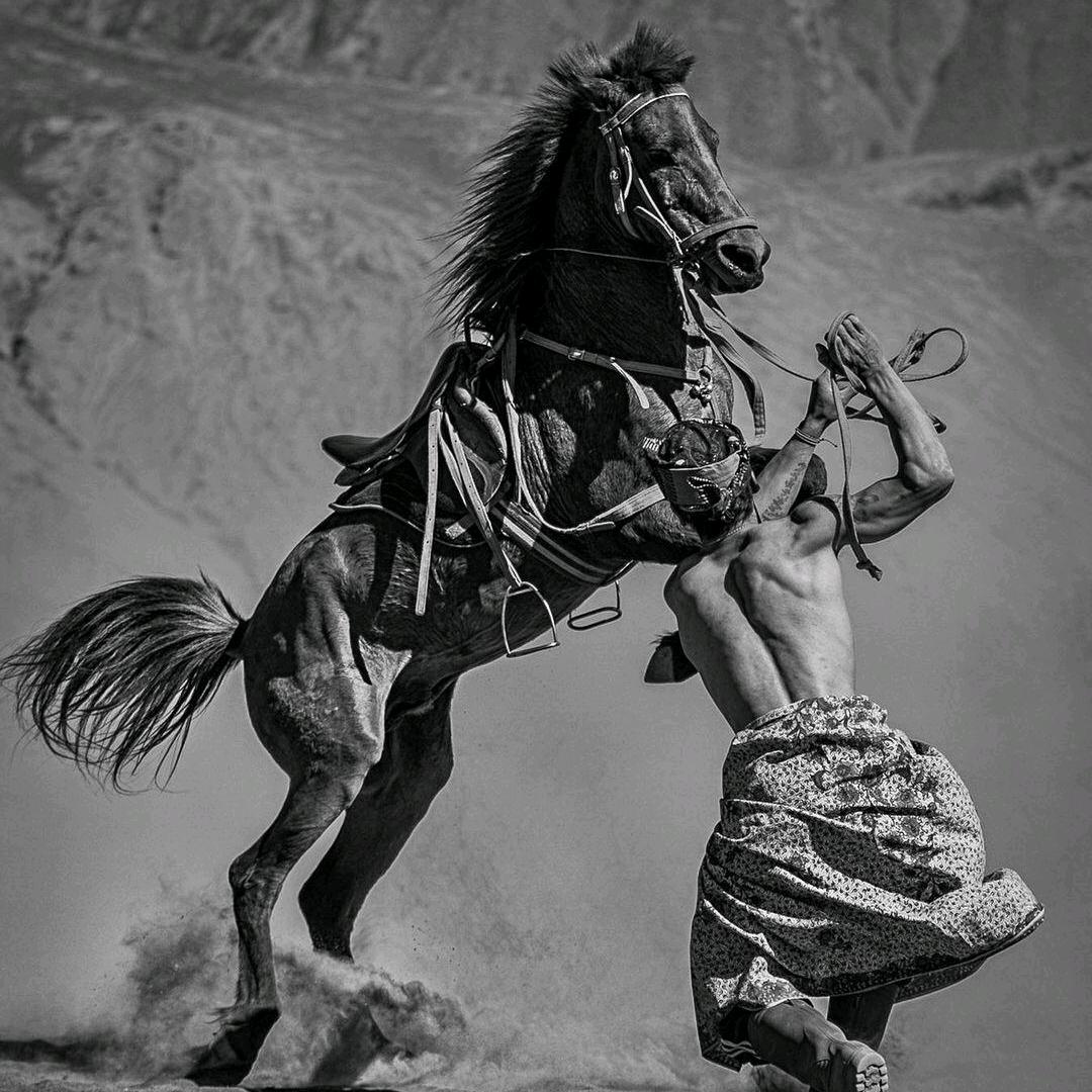 石家庄工作平台📞