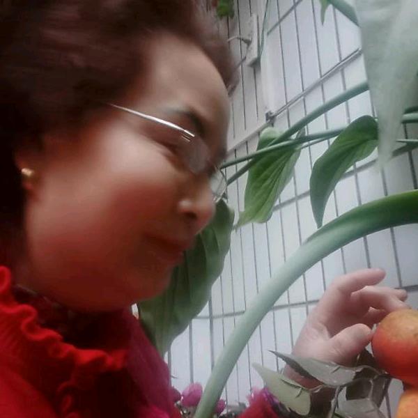 花姐🌺