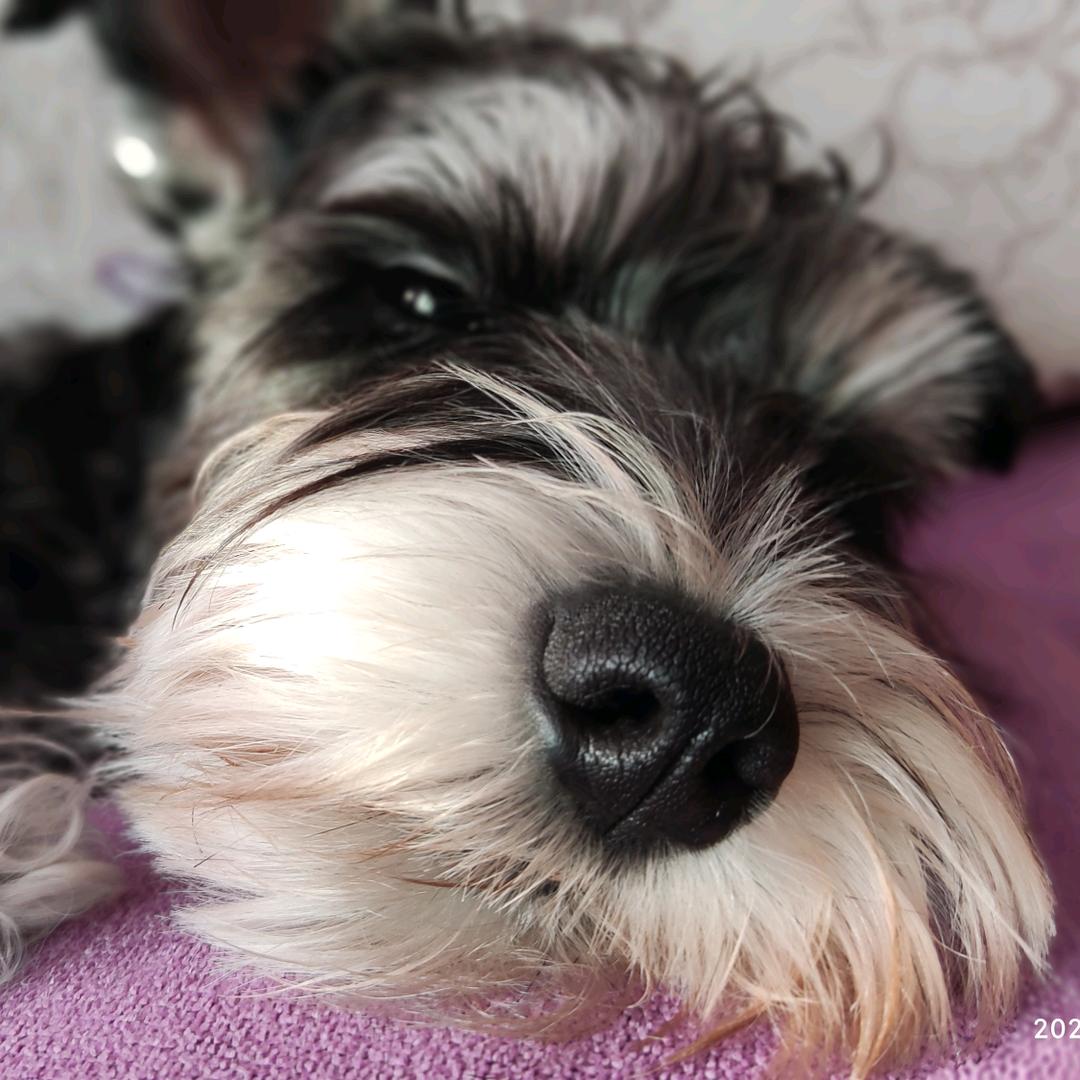 田宝儿的碎月集