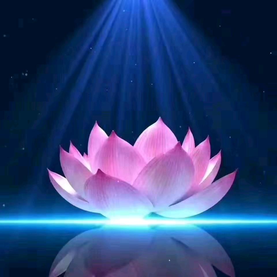 若水禅心