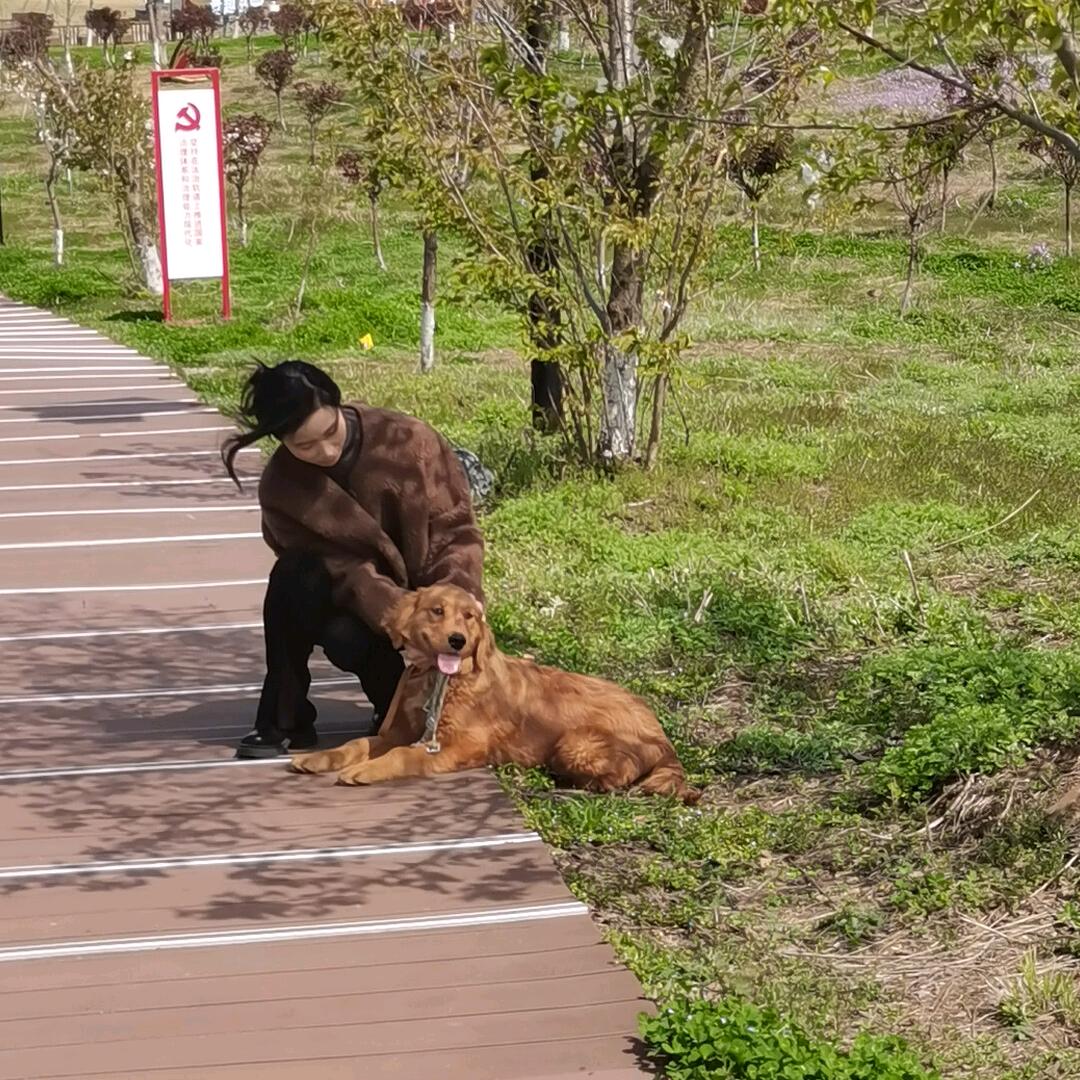 林林