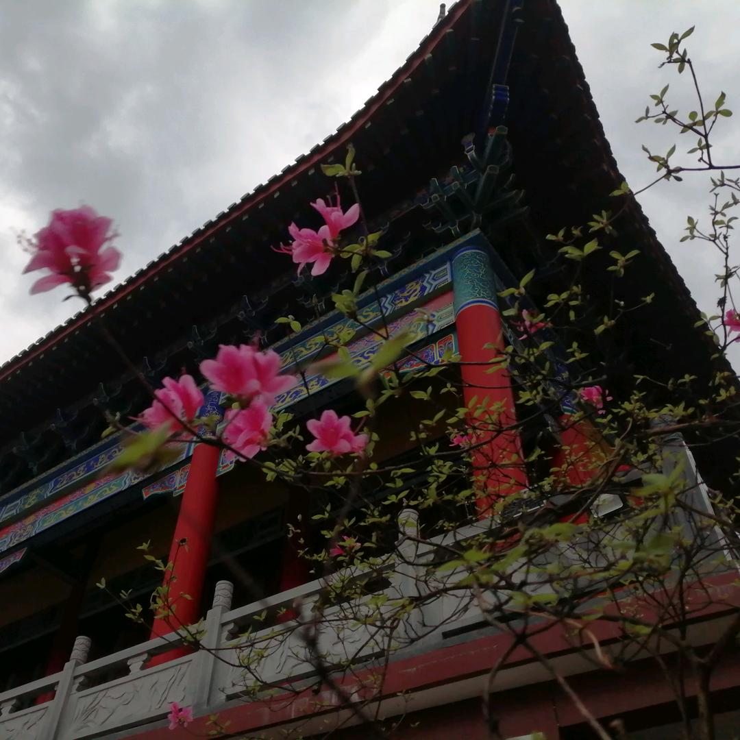 古洞仙岩禅茶一味