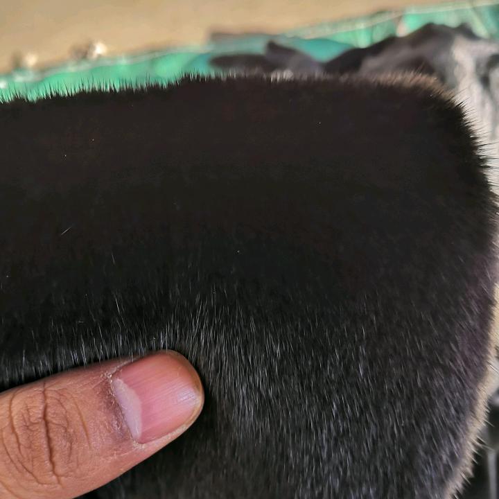 “”沉默是金””