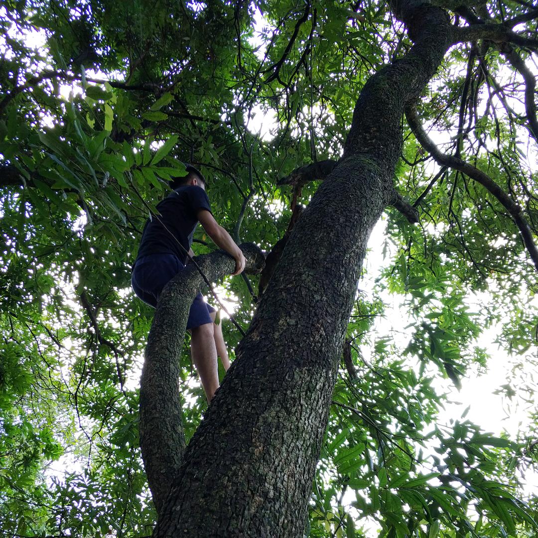 饮水机管理员（未进替补名单）