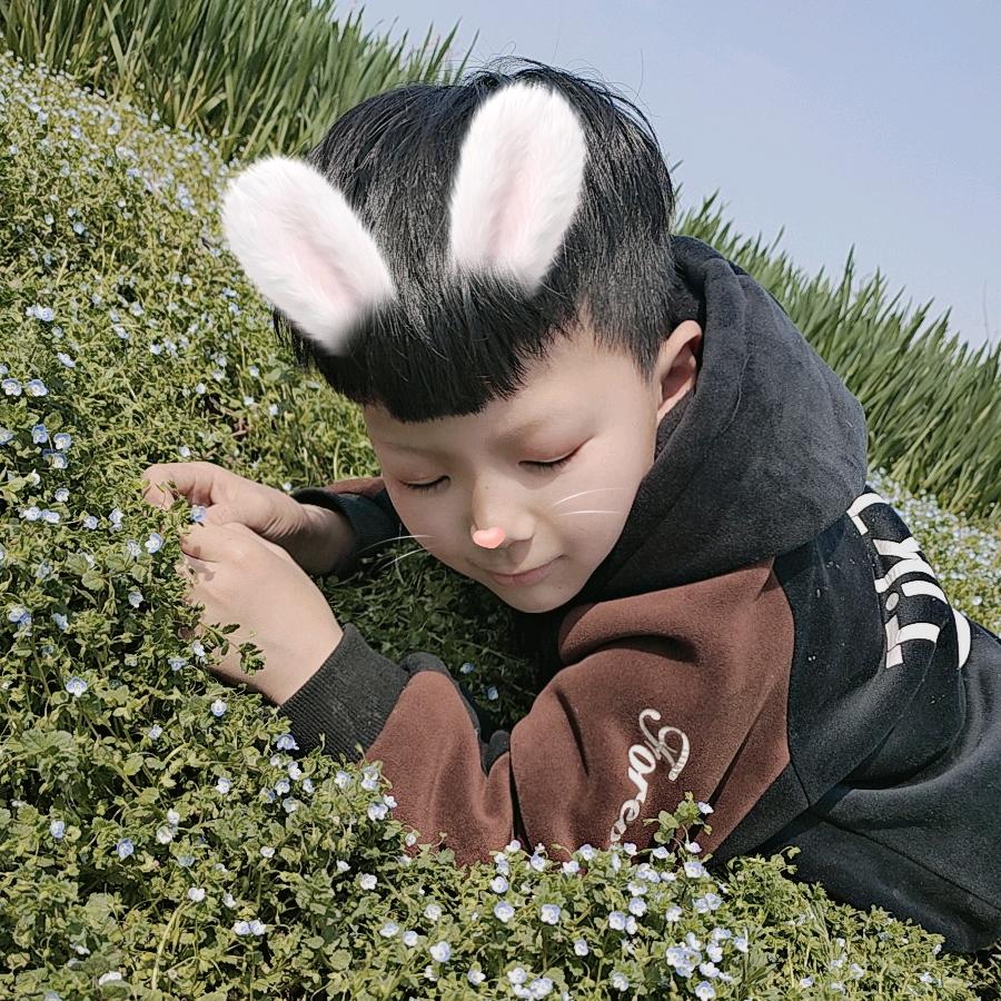 艳萍