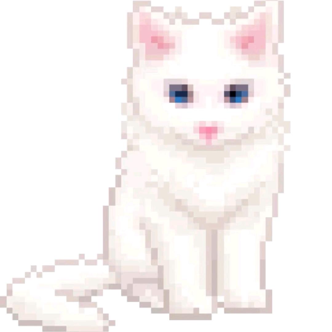 小🐰司