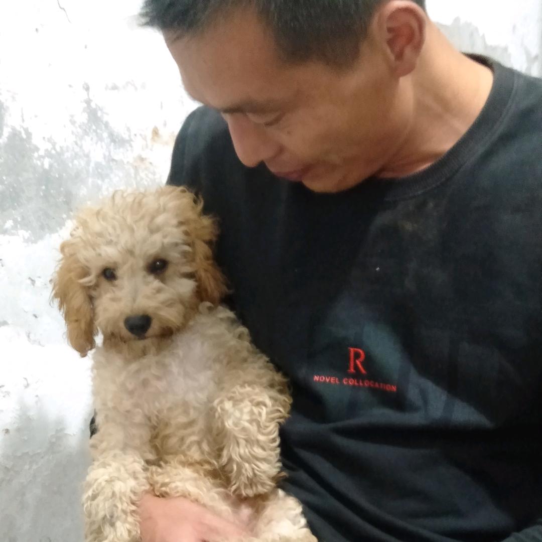 陈年往事不堪回首