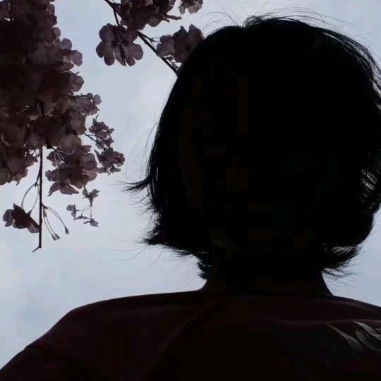 1123号的爆米花